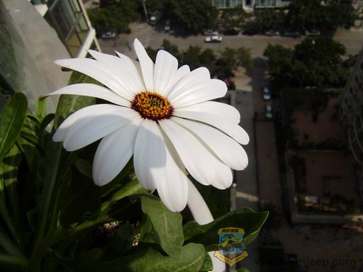 P1210041_resize.JPG