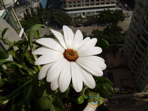 P1210042_resize.JPG