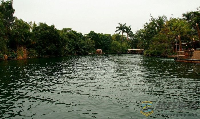 IMG_0092.jpg