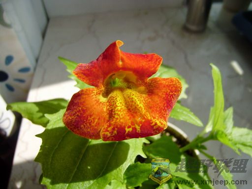 P2010081_resize.JPG
