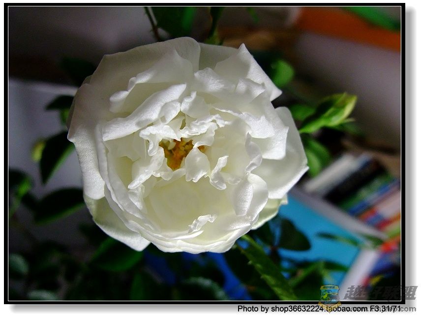 DSCF1040.JPG