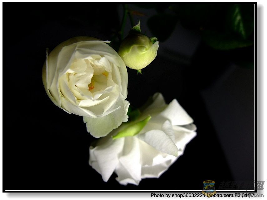 DSCF1044.JPG