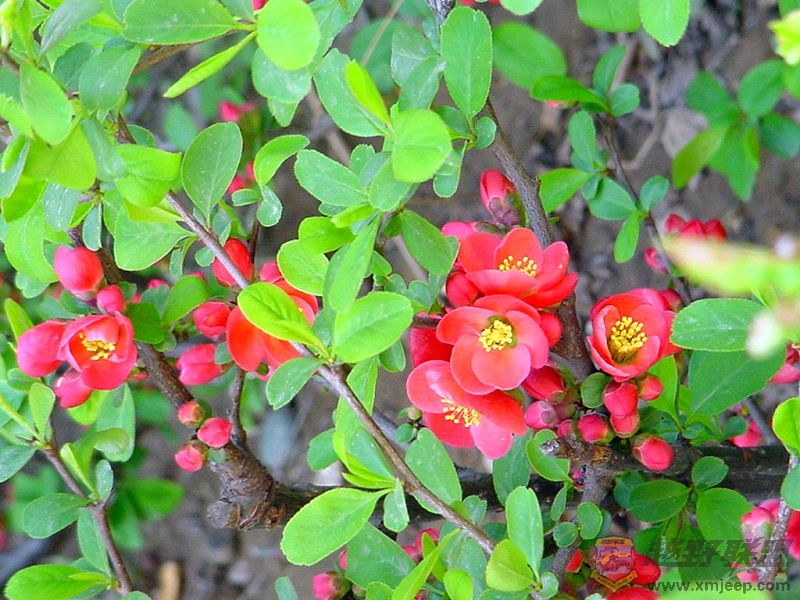 DSC01322.jpg