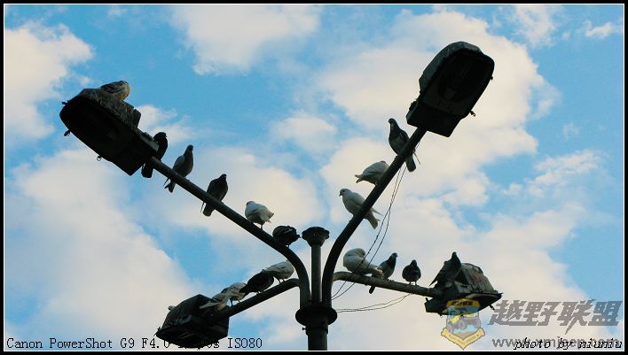 Ƭ 069.jpg