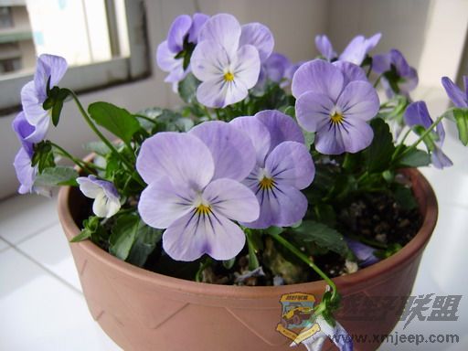 P2040088_resize.JPG