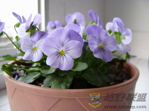 P2040090_resize.JPG