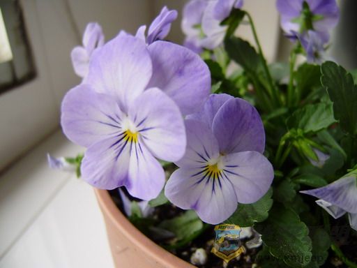 P2040094_resize.JPG