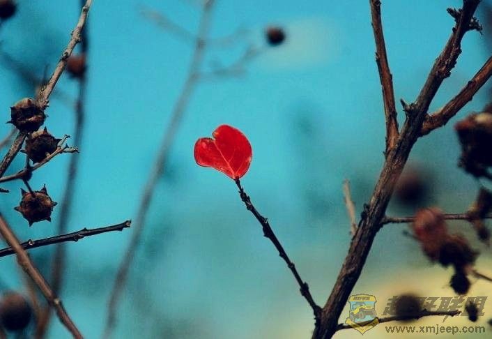 Little_Red_Heart_by_DiaboliclySweet.jpg