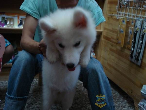 С DSC01648.JPG