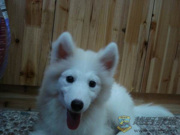 С DSC01650.JPG