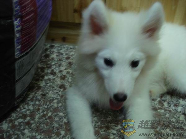 С DSC01652.JPG