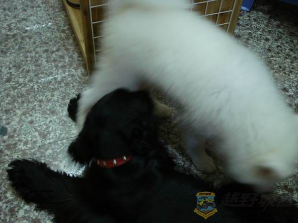 С DSC01653.JPG