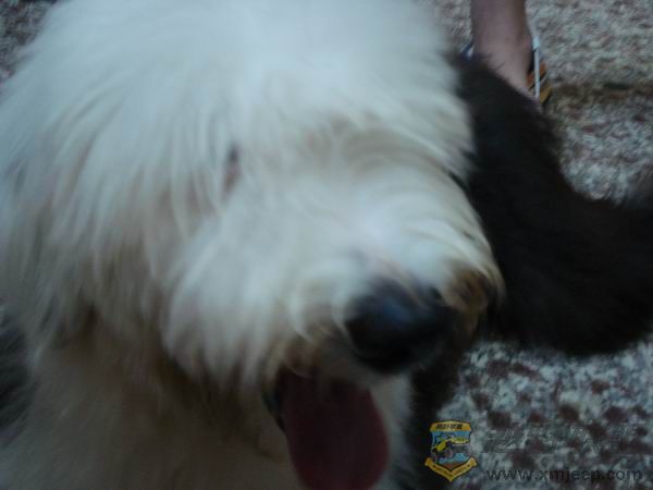 С DSC01660.JPG