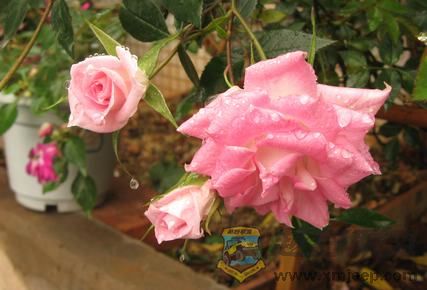 IMG_6895.jpg