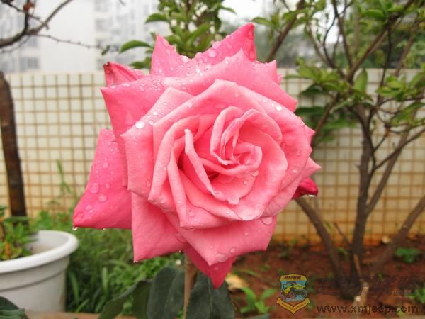 IMG_6901.jpg