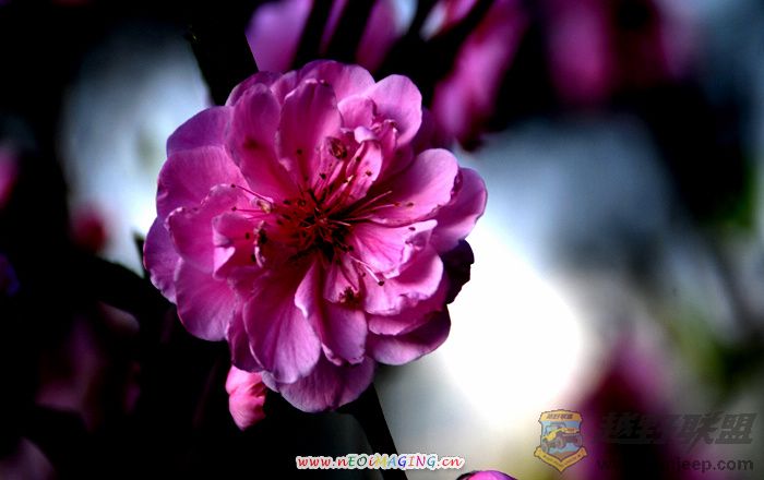 Ƭ 09700.jpg