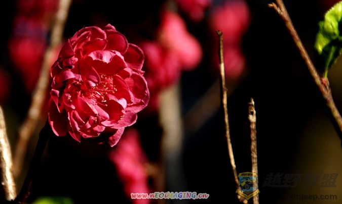 Ƭ 09400.jpg