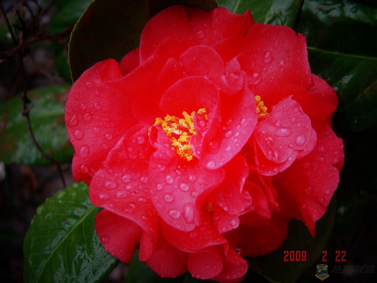 DSC00433a.jpg