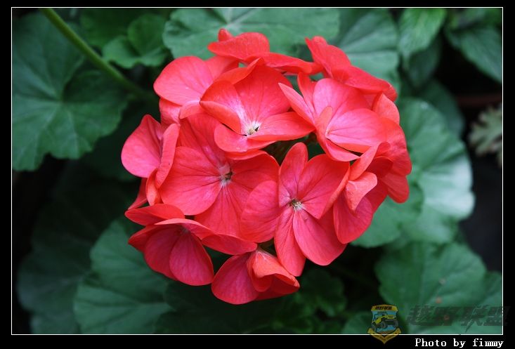 IMG_0886a.jpg