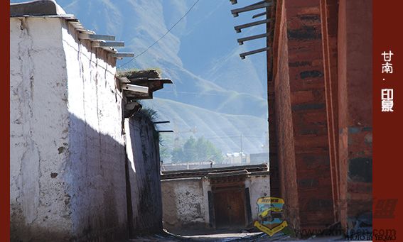 DSC_9819 .jpg