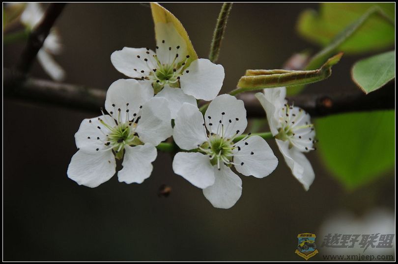 090320ԴDSC_2299.jpg