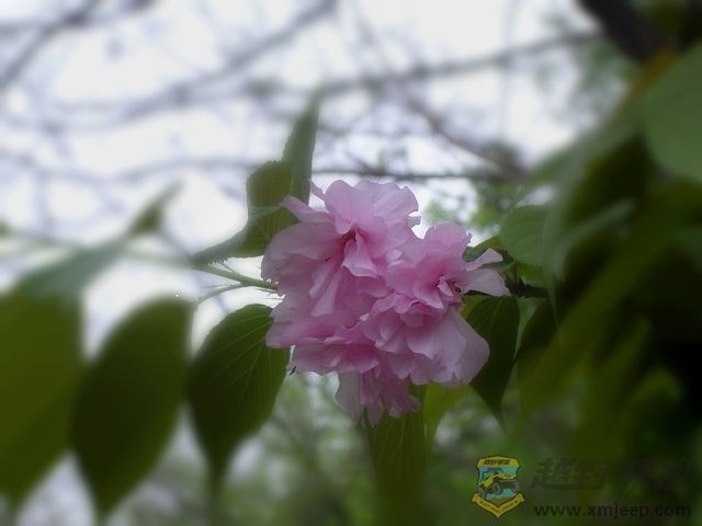 DSC00290.JPG