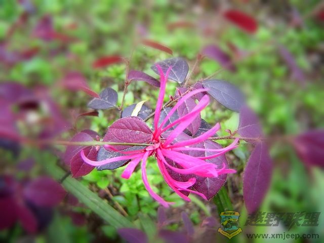 DSC00335.JPG