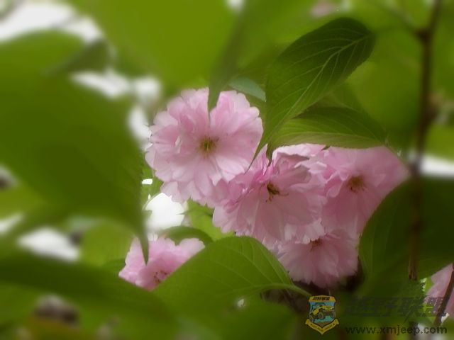 DSC00292.JPG