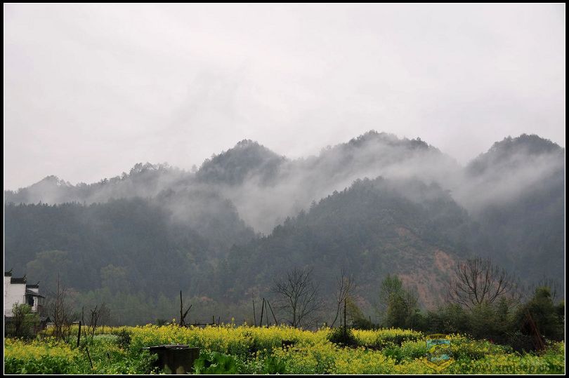090320ԴDSC_2552.jpg