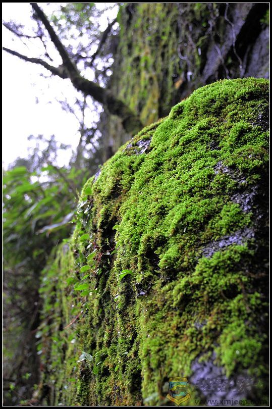 090320ԴDSC_2773.jpg