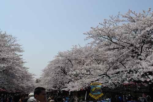 DSC00015.jpg