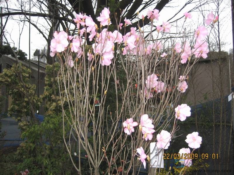 Ƭ 033.jpg