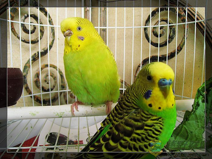 nEO_IMG_IMG_1630.jpg