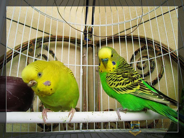 nEO_IMG_IMG_1640.jpg