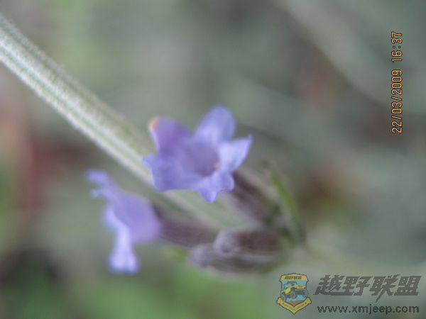 nEO_IMG_IMG_0007.jpg