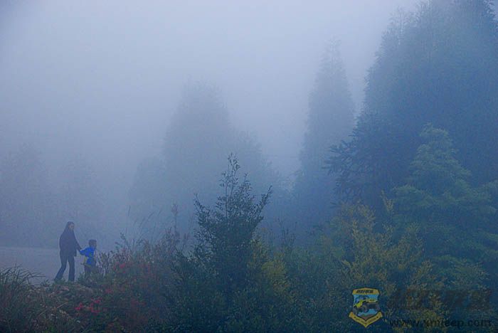 С280.jpg