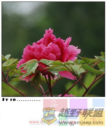 Ƭ 7910.jpg