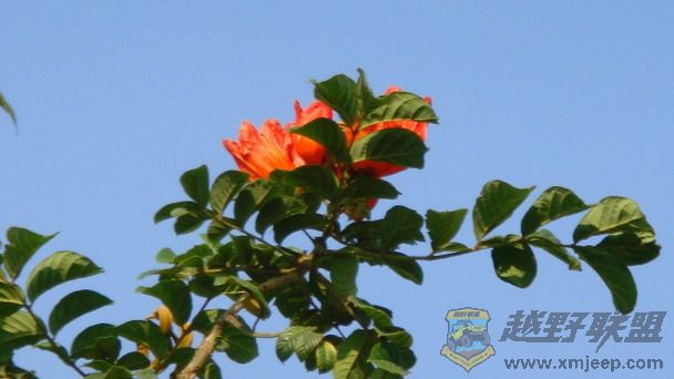 DSC01401_СС.JPG