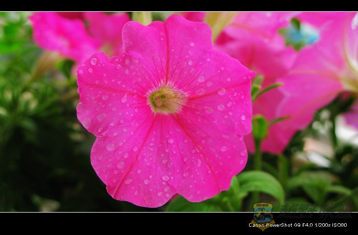 Ƭ 024.jpg