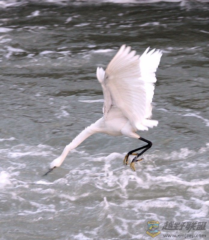 IMG_0369.jpg
