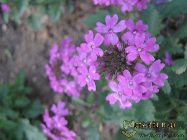 nEO_IMG_IMG_0013.jpg