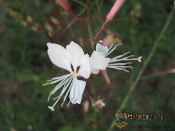 nEO_IMG_IMG_0018.jpg