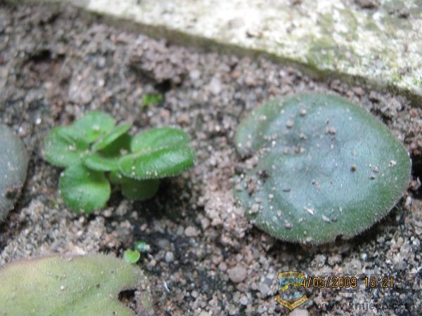nEO_IMG_IMG_0058.jpg