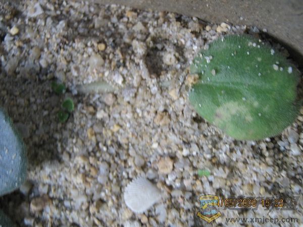 nEO_IMG_IMG_0066.jpg