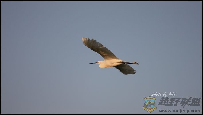 IMG_3803a.jpg
