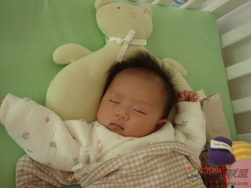 DSC07131-1.jpg
