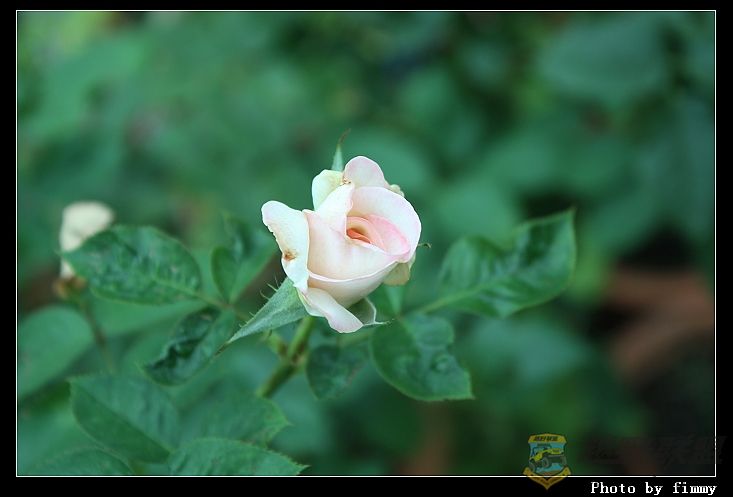 IMG_3676.JPG
