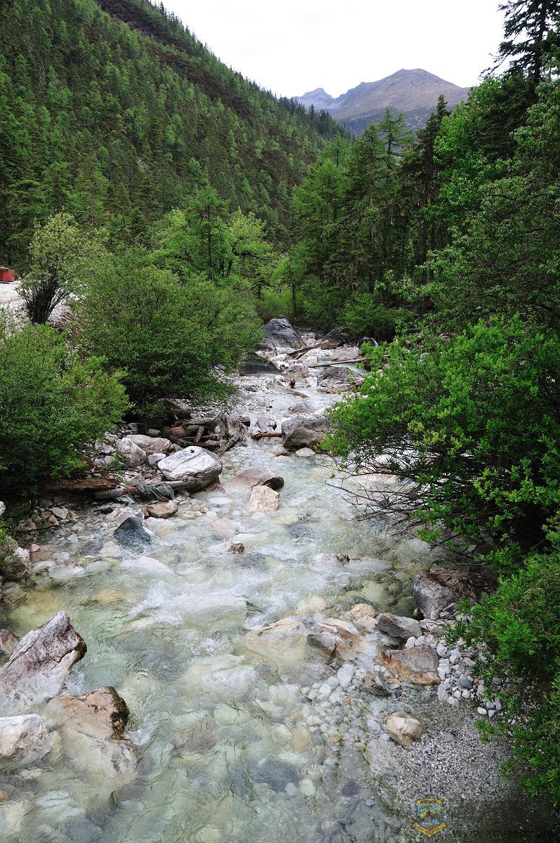 DSC_4732ǶСϪ.jpg