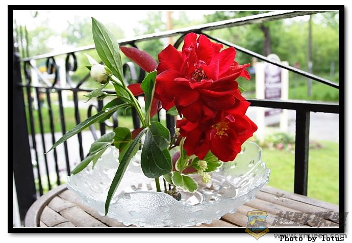 flower038.jpg