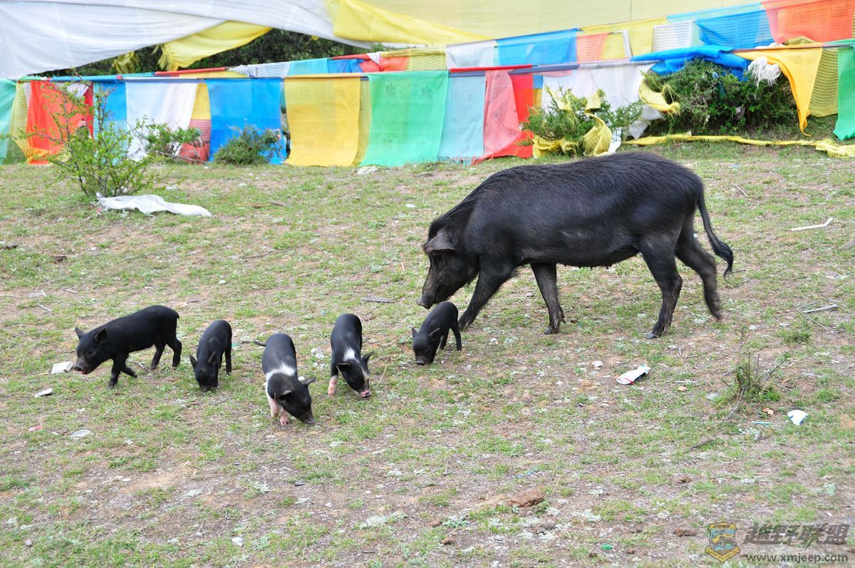 DSC_5747.jpg